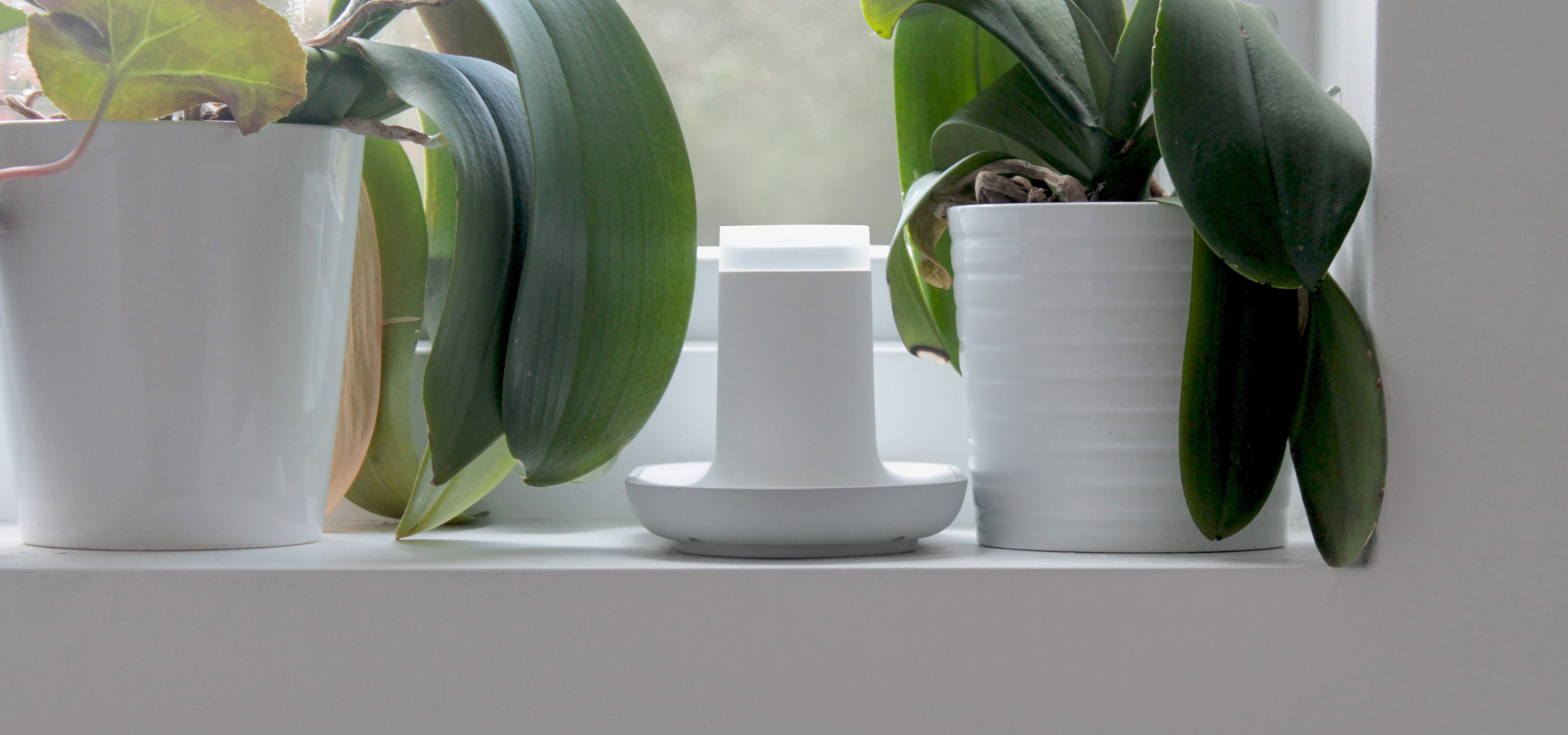 The ode fragrance system for dementia.