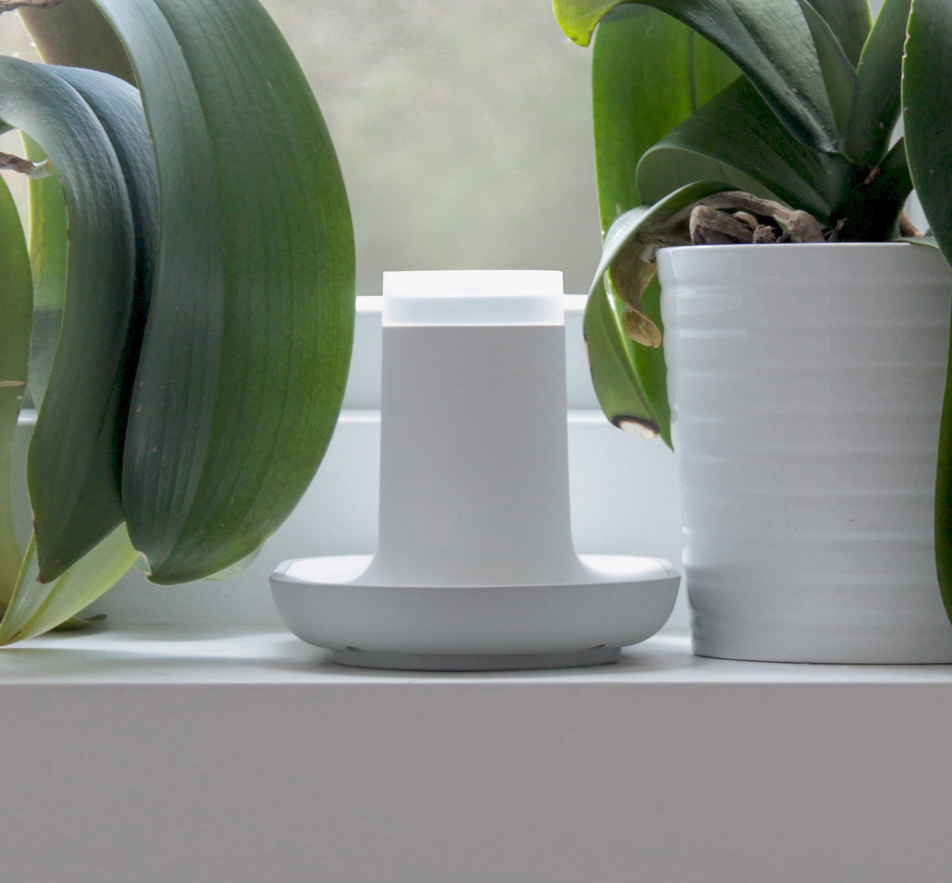 Ode is a health tech brand that helps combat malnutrition in dementia patients.