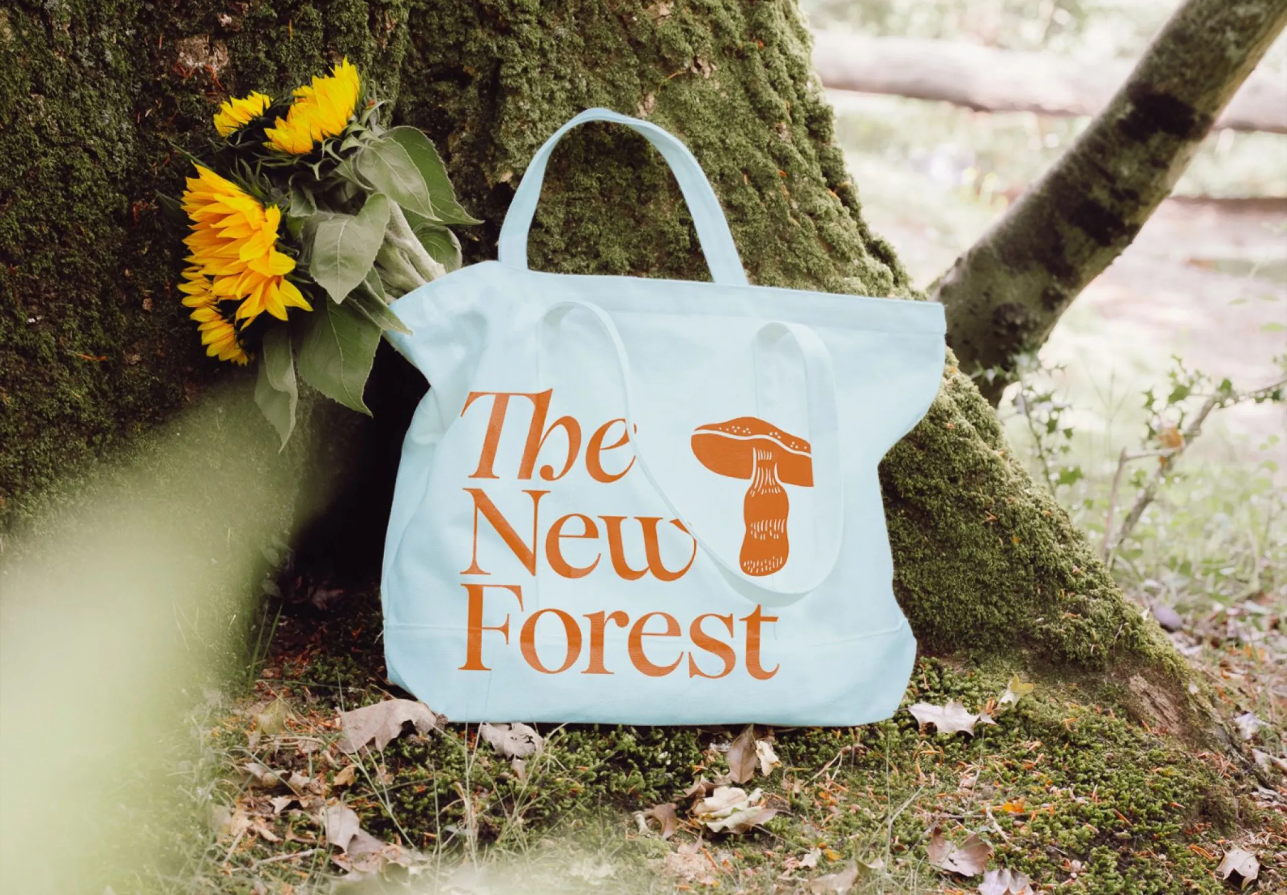 Canvas bag at the base of a tree