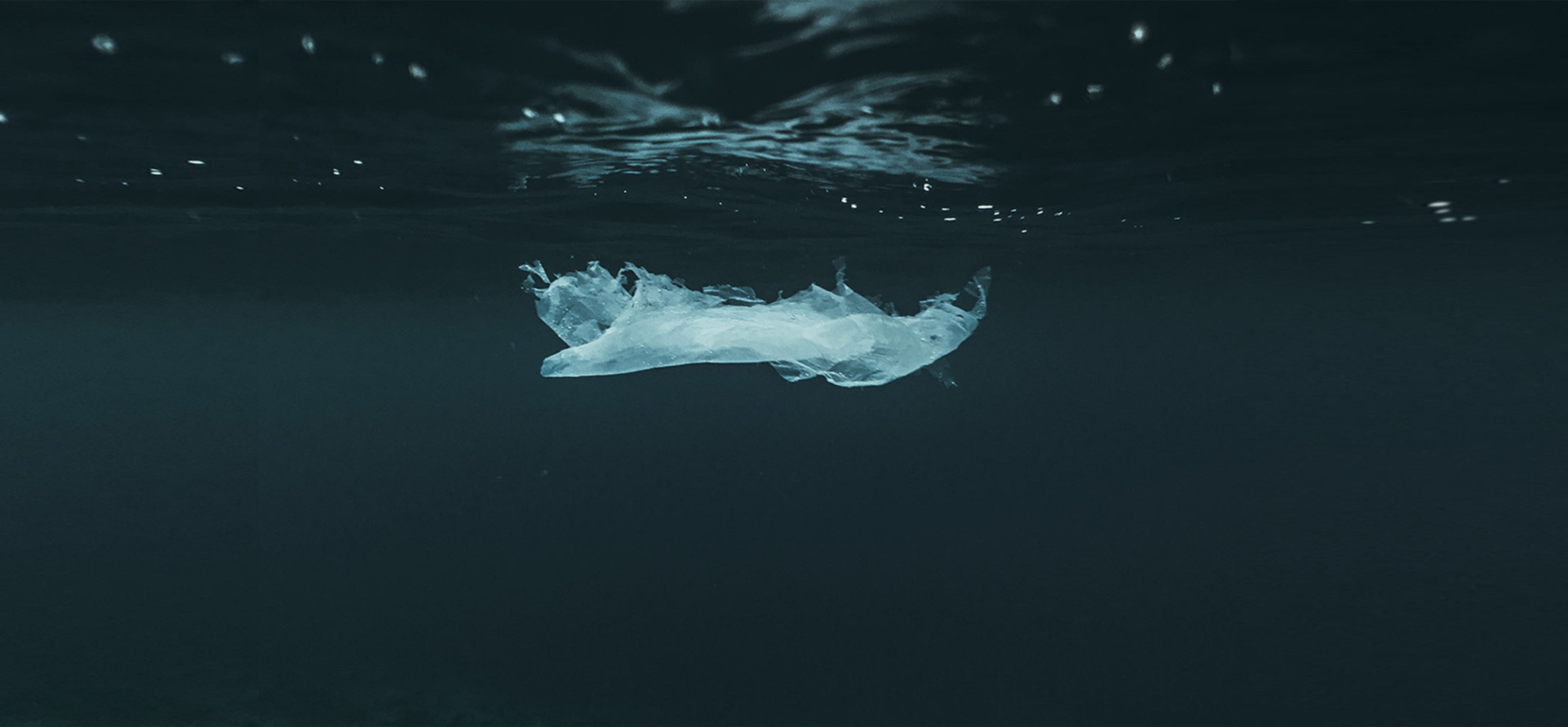 a photograph showing a plastic bag floating in the sea