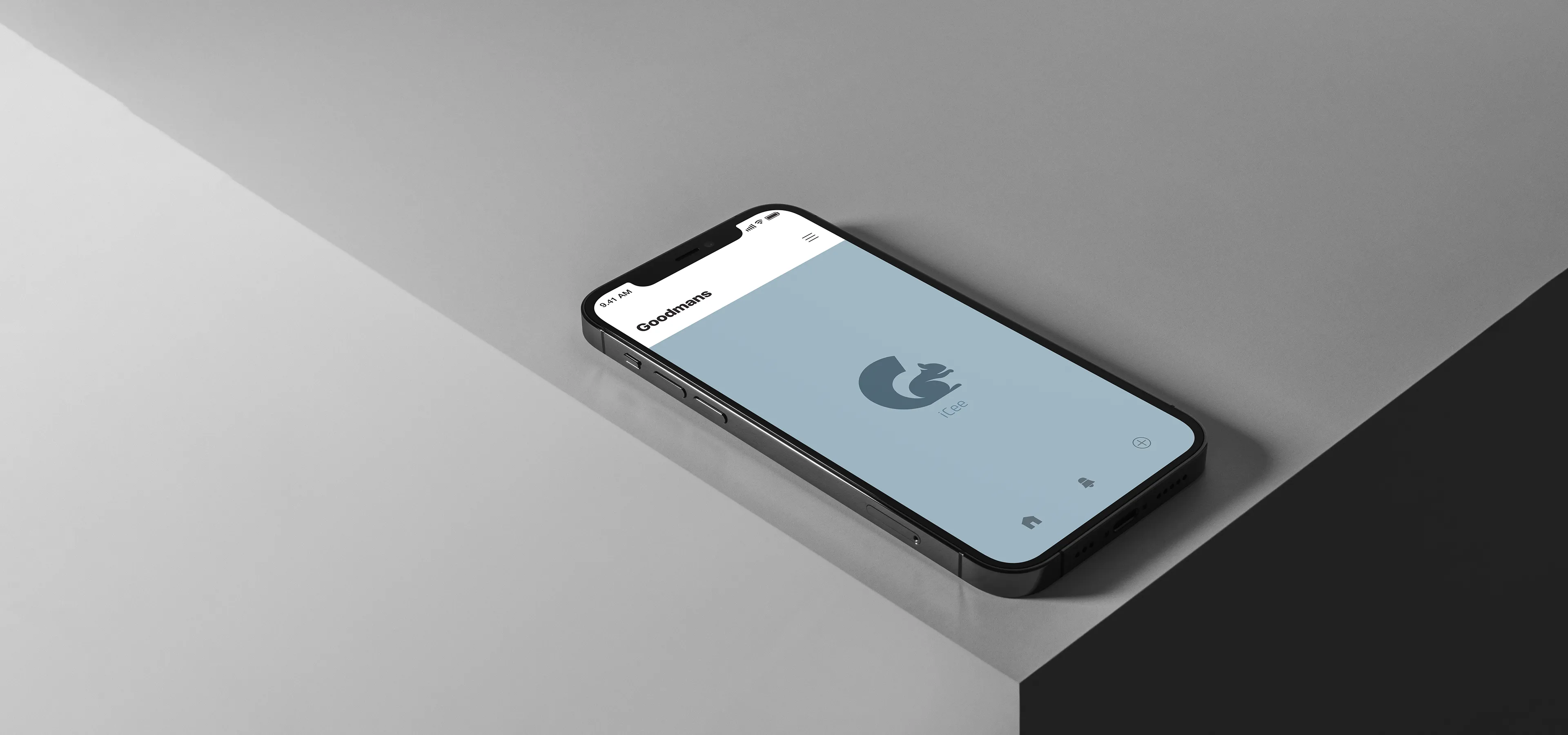 Splash screen of the goodmans iCee app