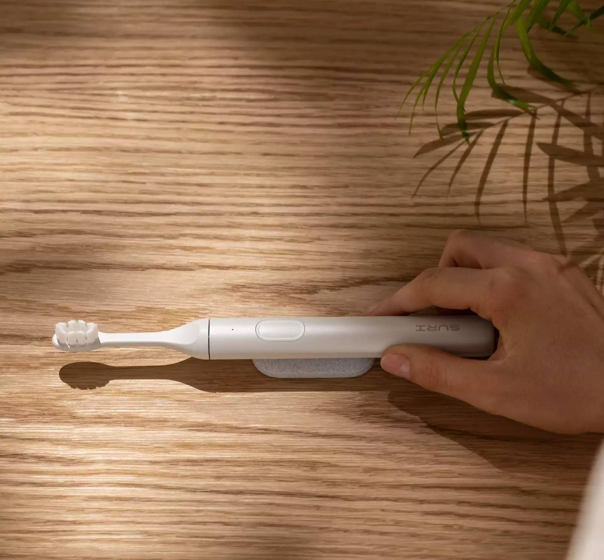 Why explain why sustainable brands are winning in todays markets
