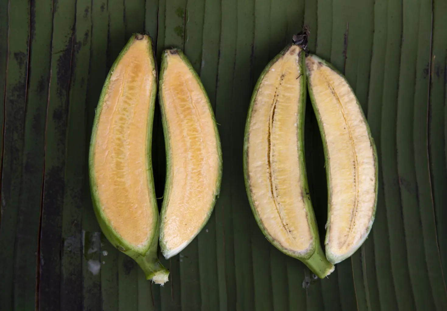The super banana on the left is modified to contain additional vitamin A