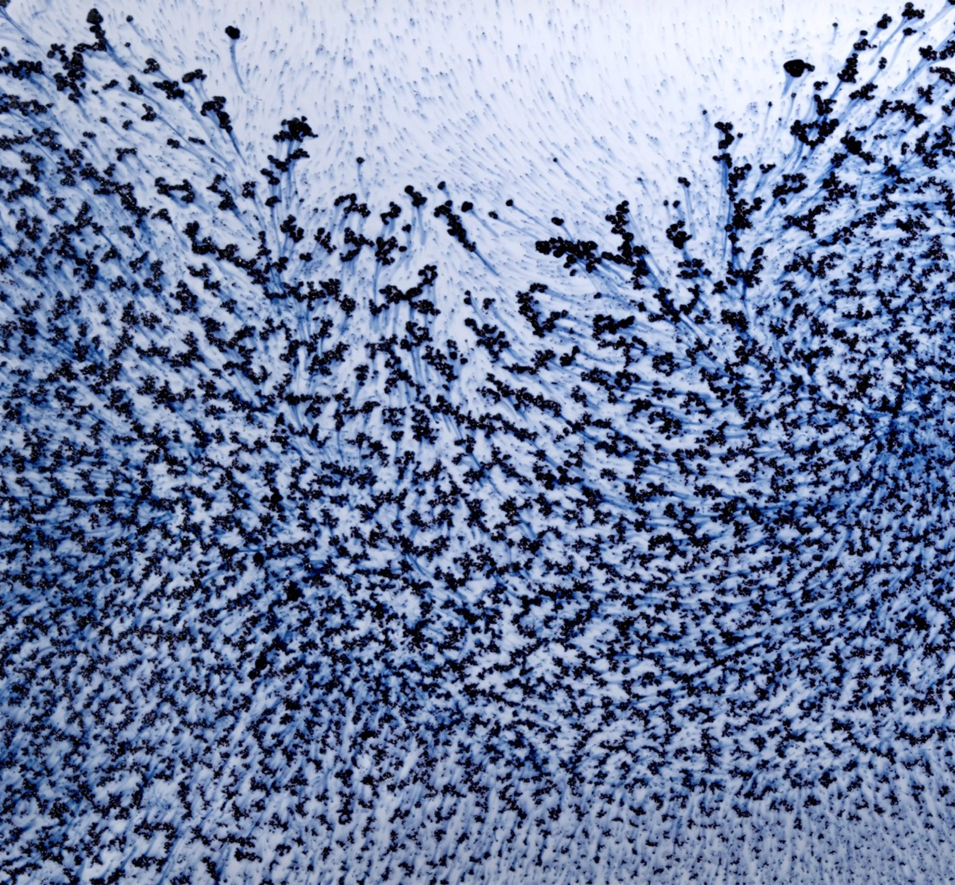 Overhead shot of a snowy forest
